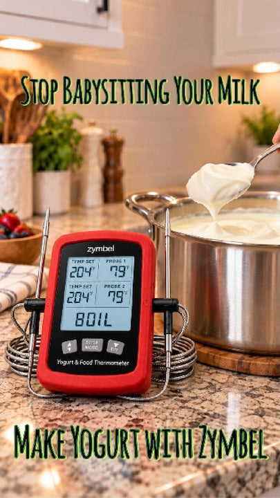 Load video: Homemade yogurt in 2 minute effort